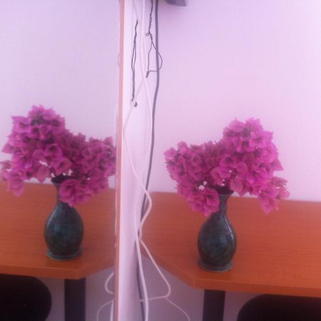 Apartments Juric Baska Voda Room photo