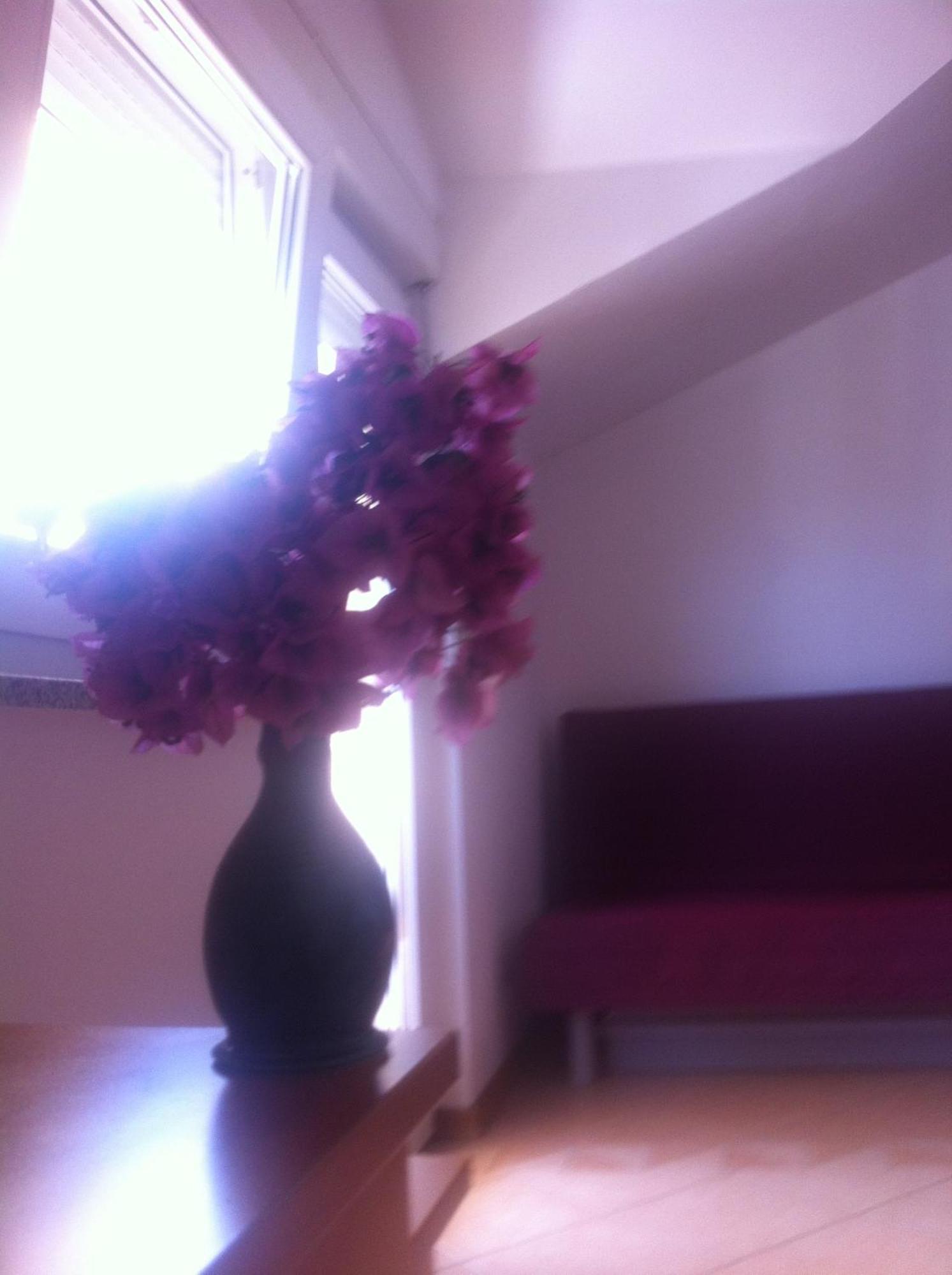 Apartments Juric Baska Voda Room photo